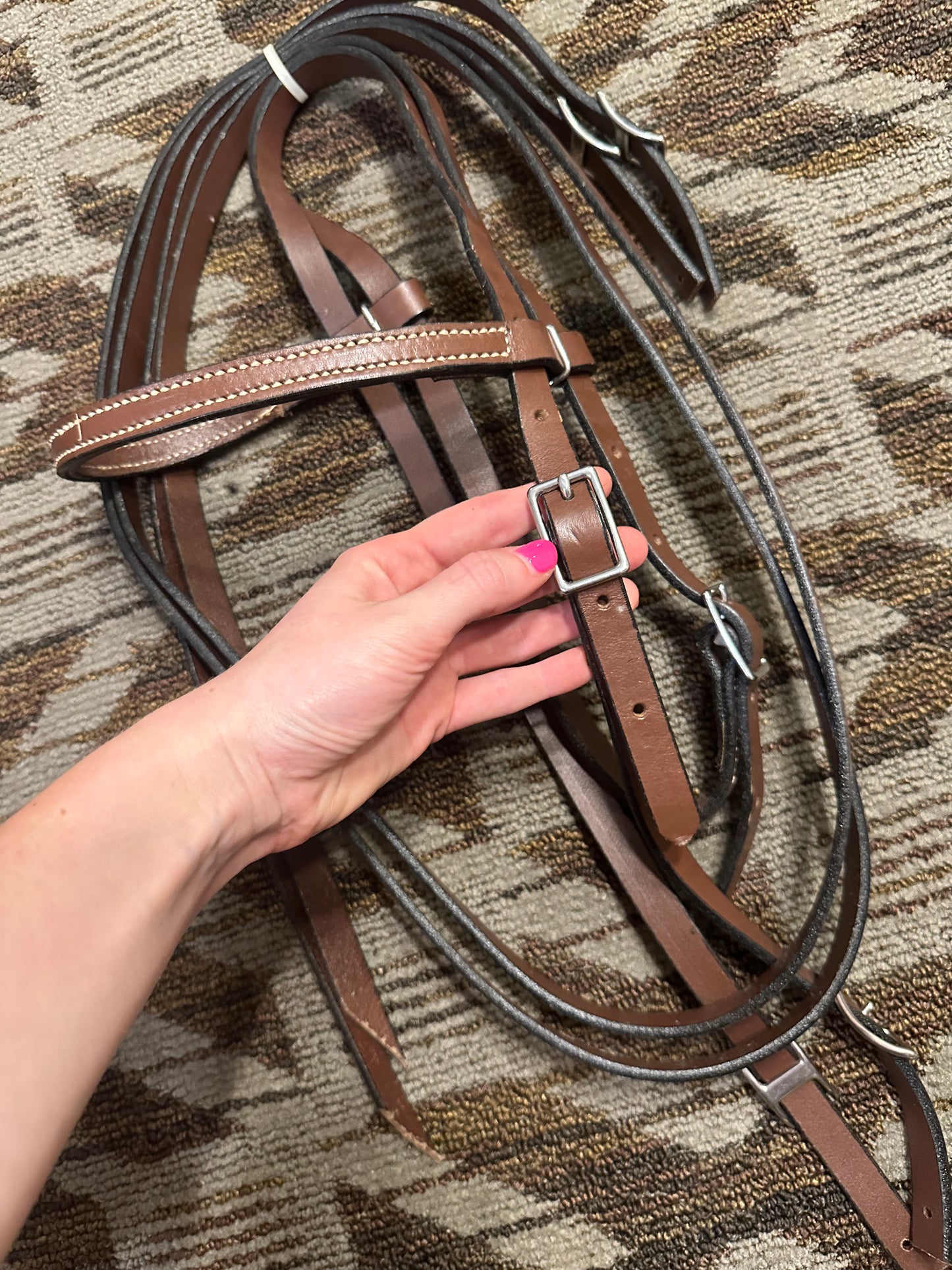 Brown Bridle w/ Matching Reins