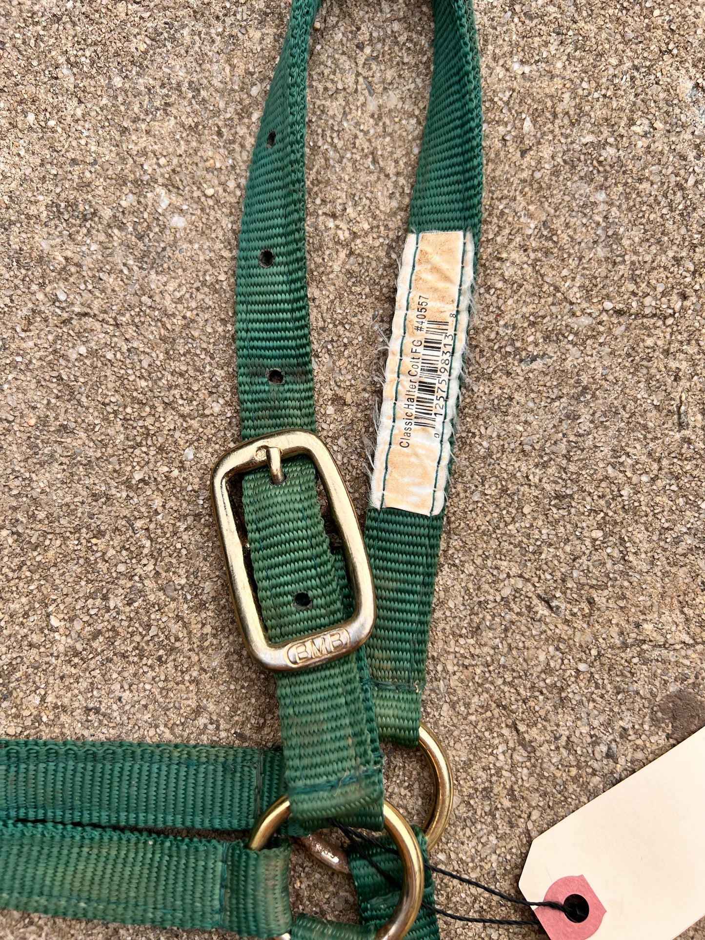 Green BMB Halter - Colt