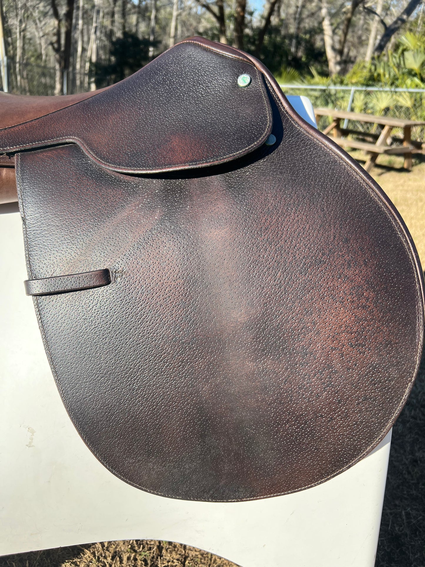 Campbell Close Contact Saddle