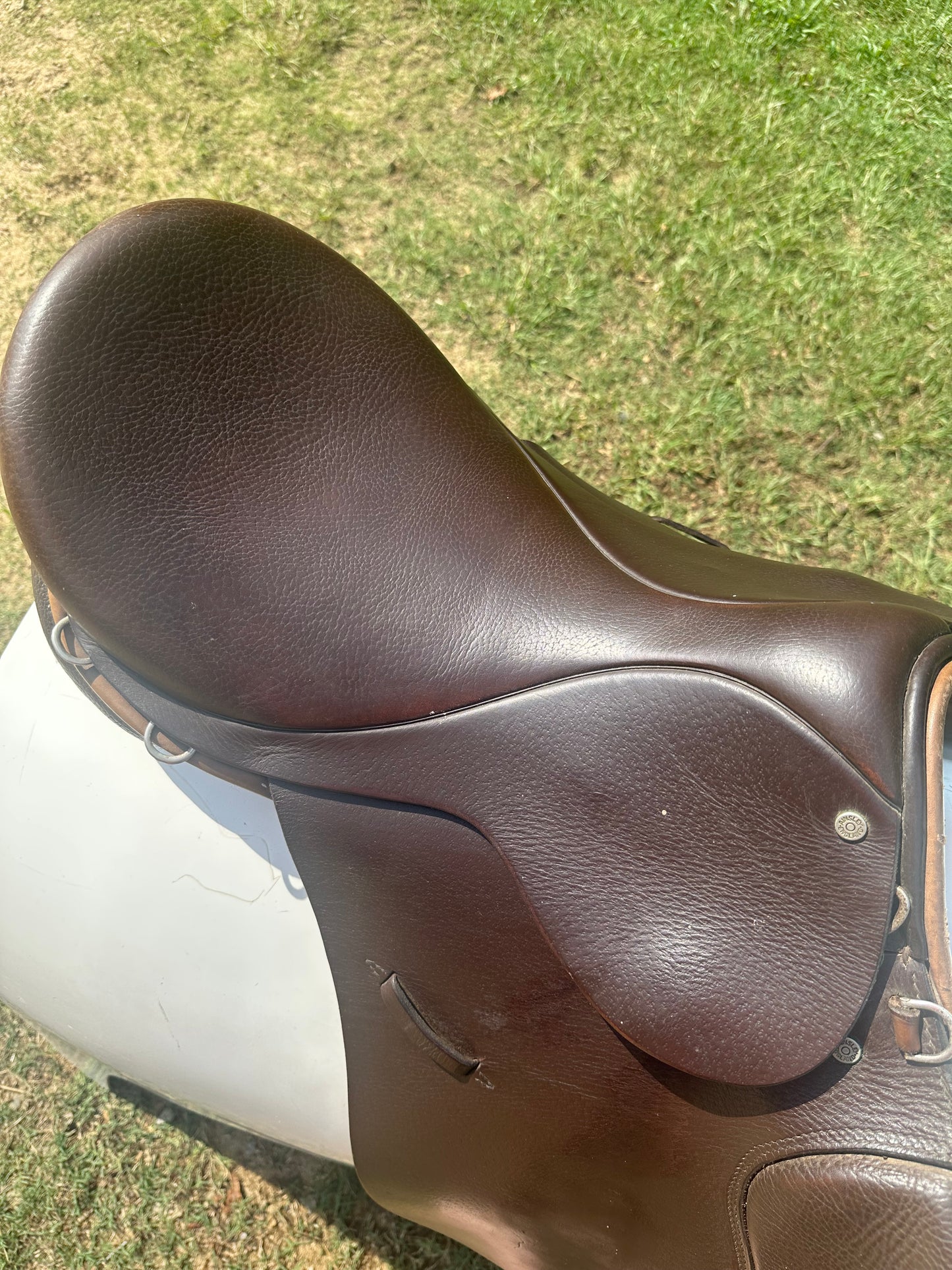 Ainsley Forward Flap Jump Saddle