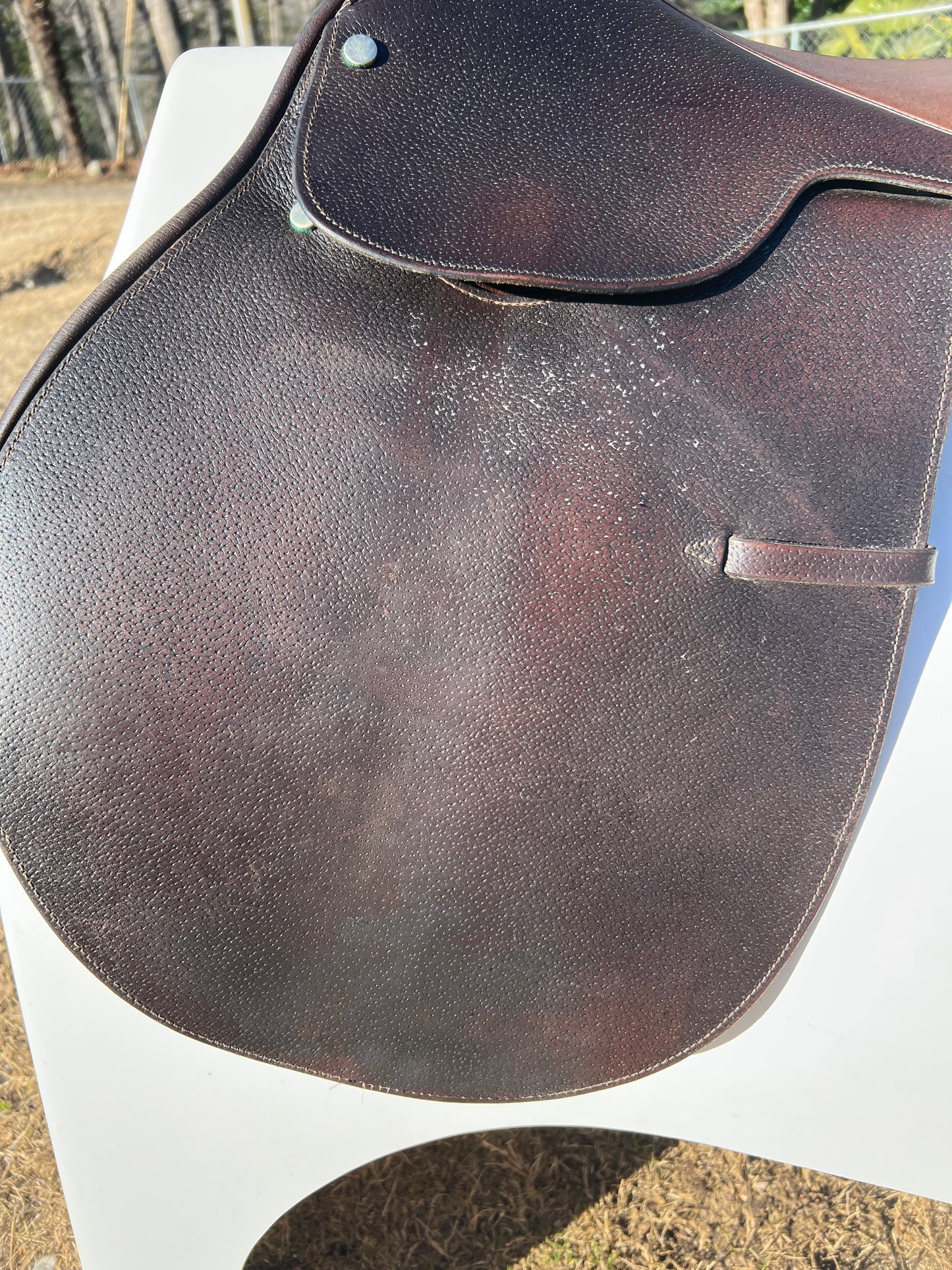 Campbell Close Contact Saddle