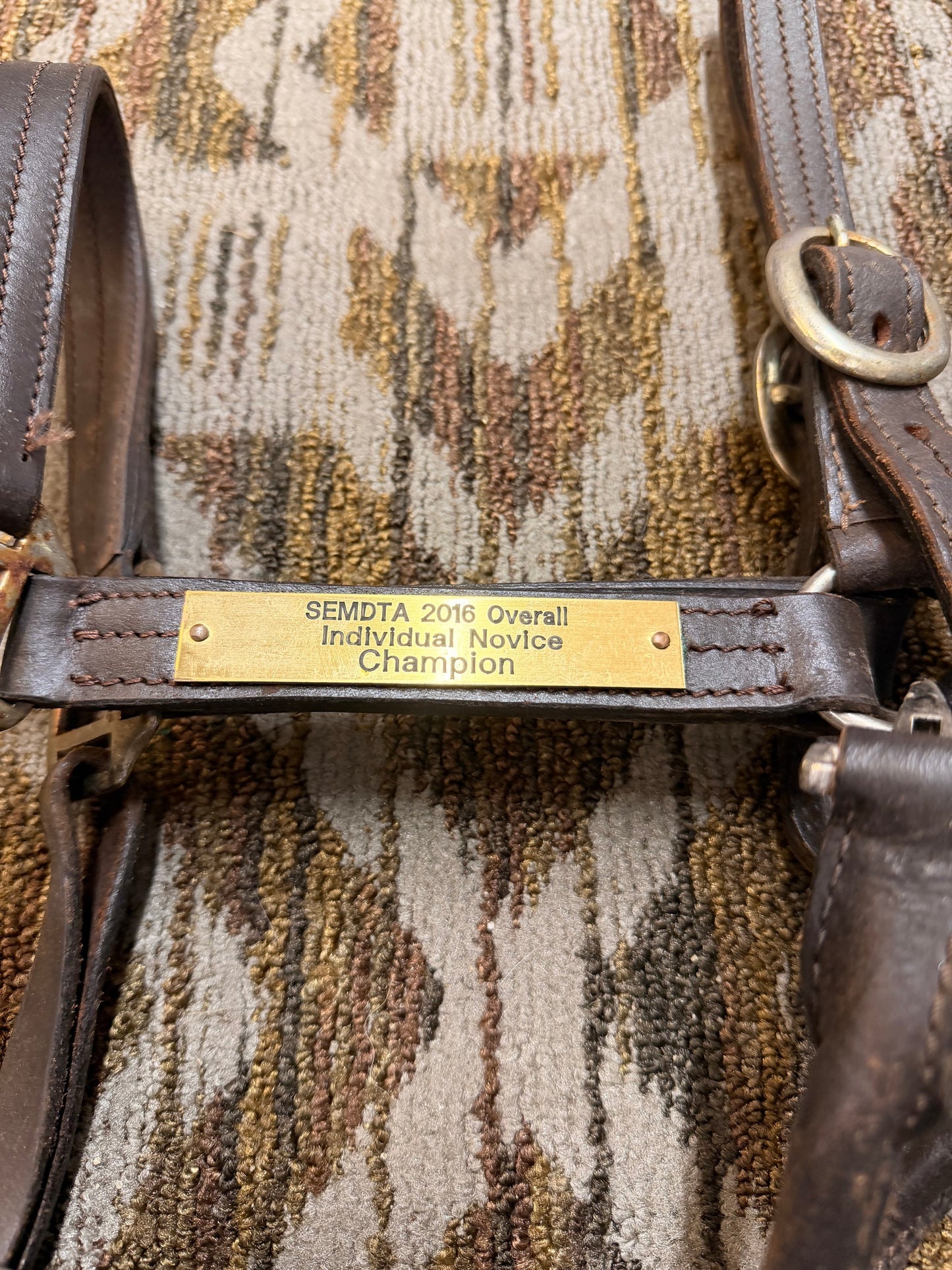 Triple Stitched Leather Halter w/ Nameplate