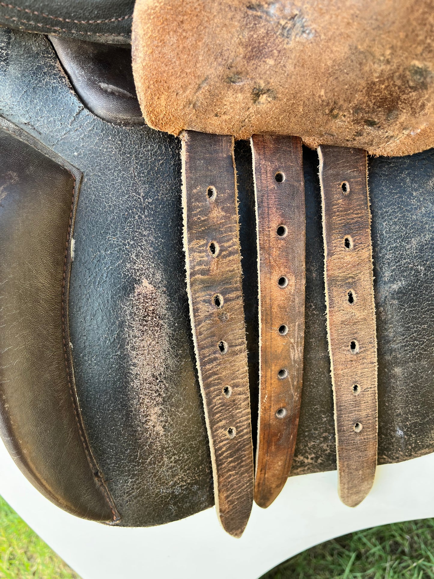 Collegiate All Purpose Saddle