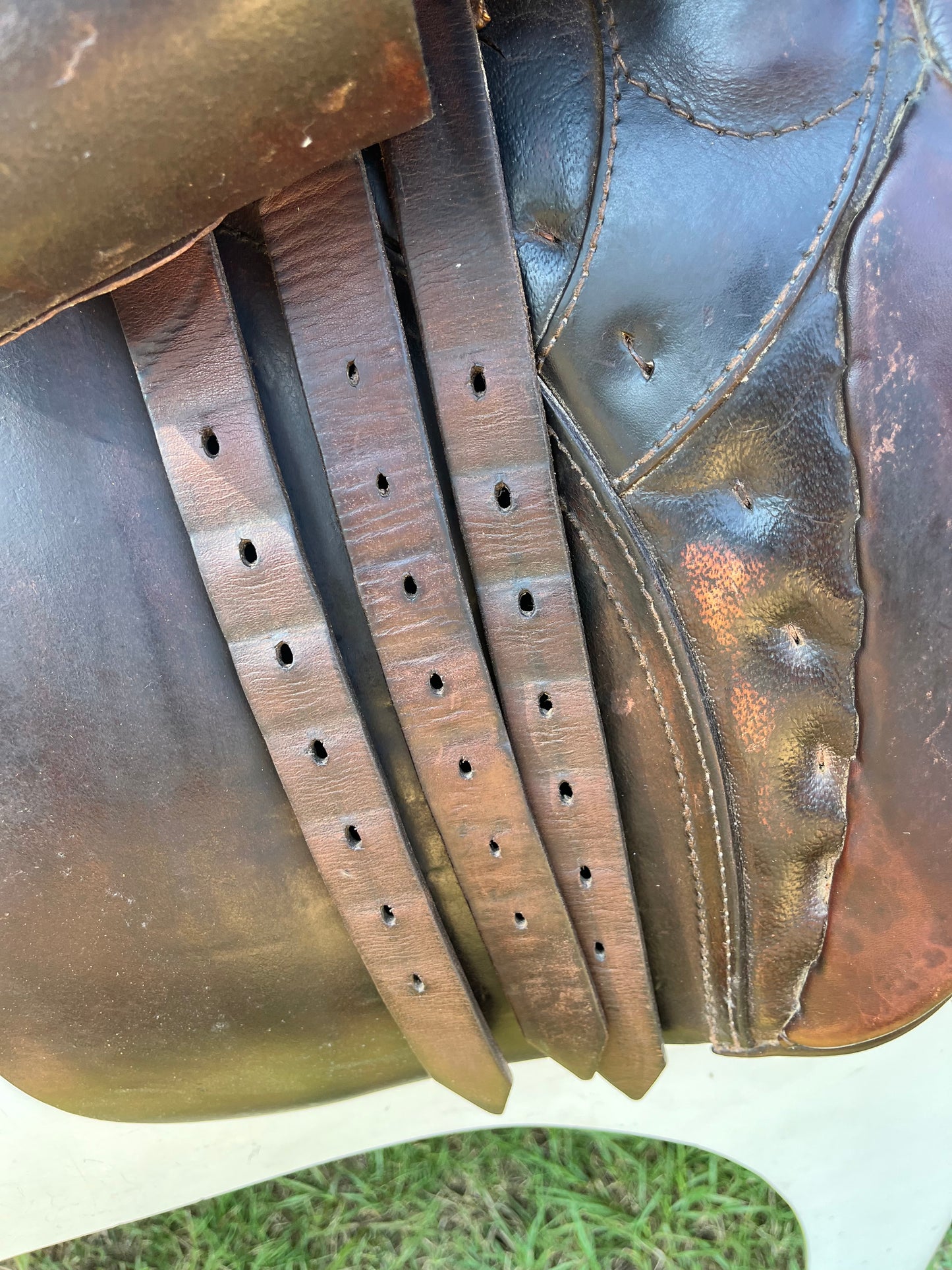 Hannover Dressage Saddle