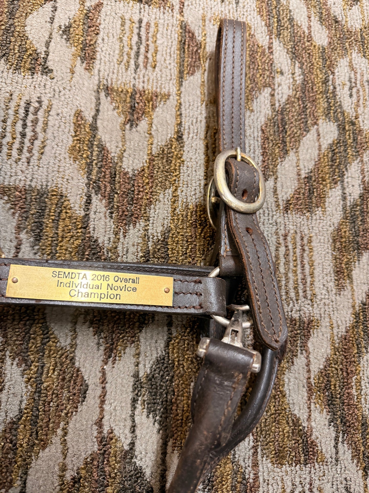 Triple Stitched Leather Halter w/ Nameplate