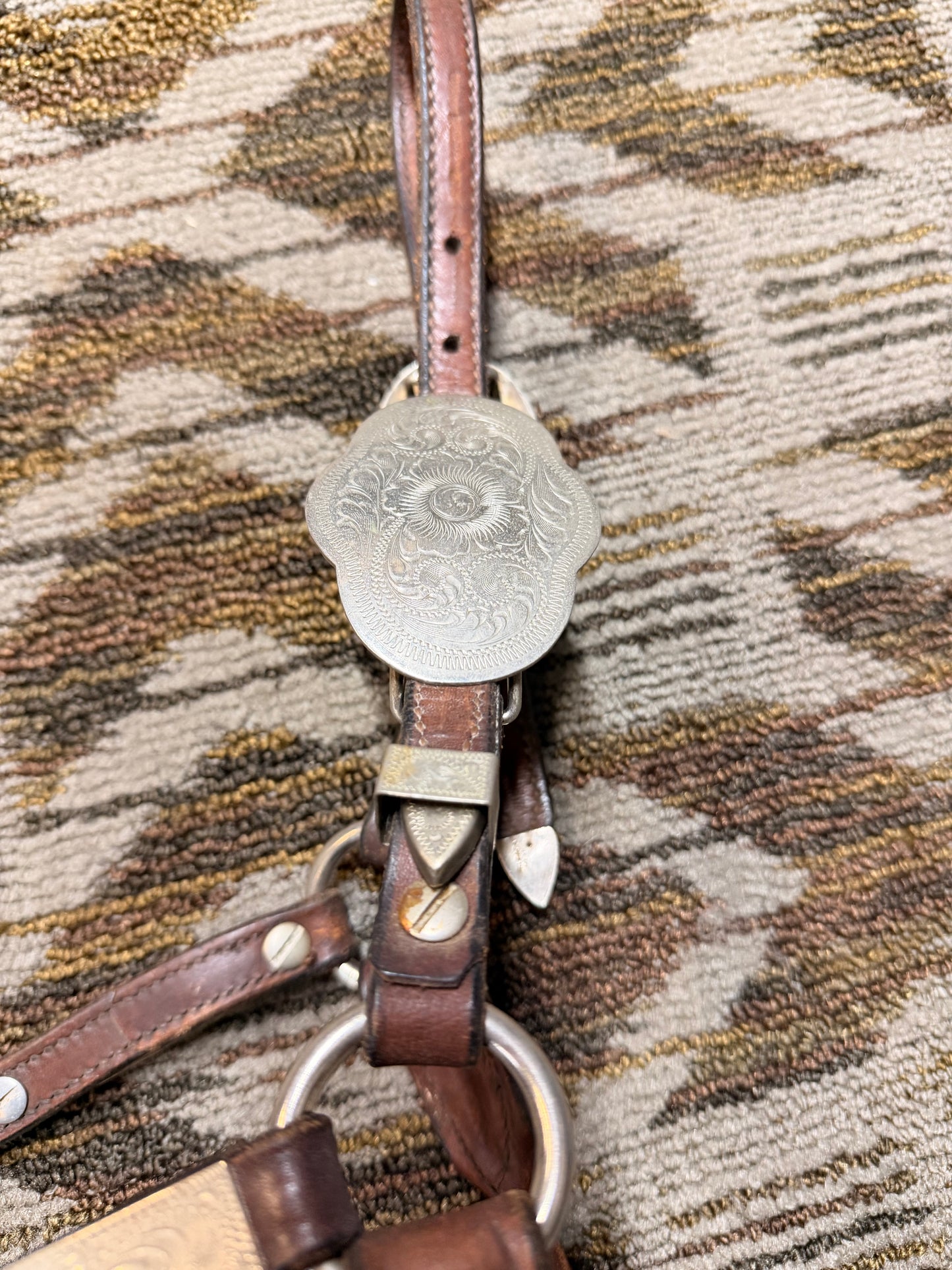 Circle Y Silver Show Halter