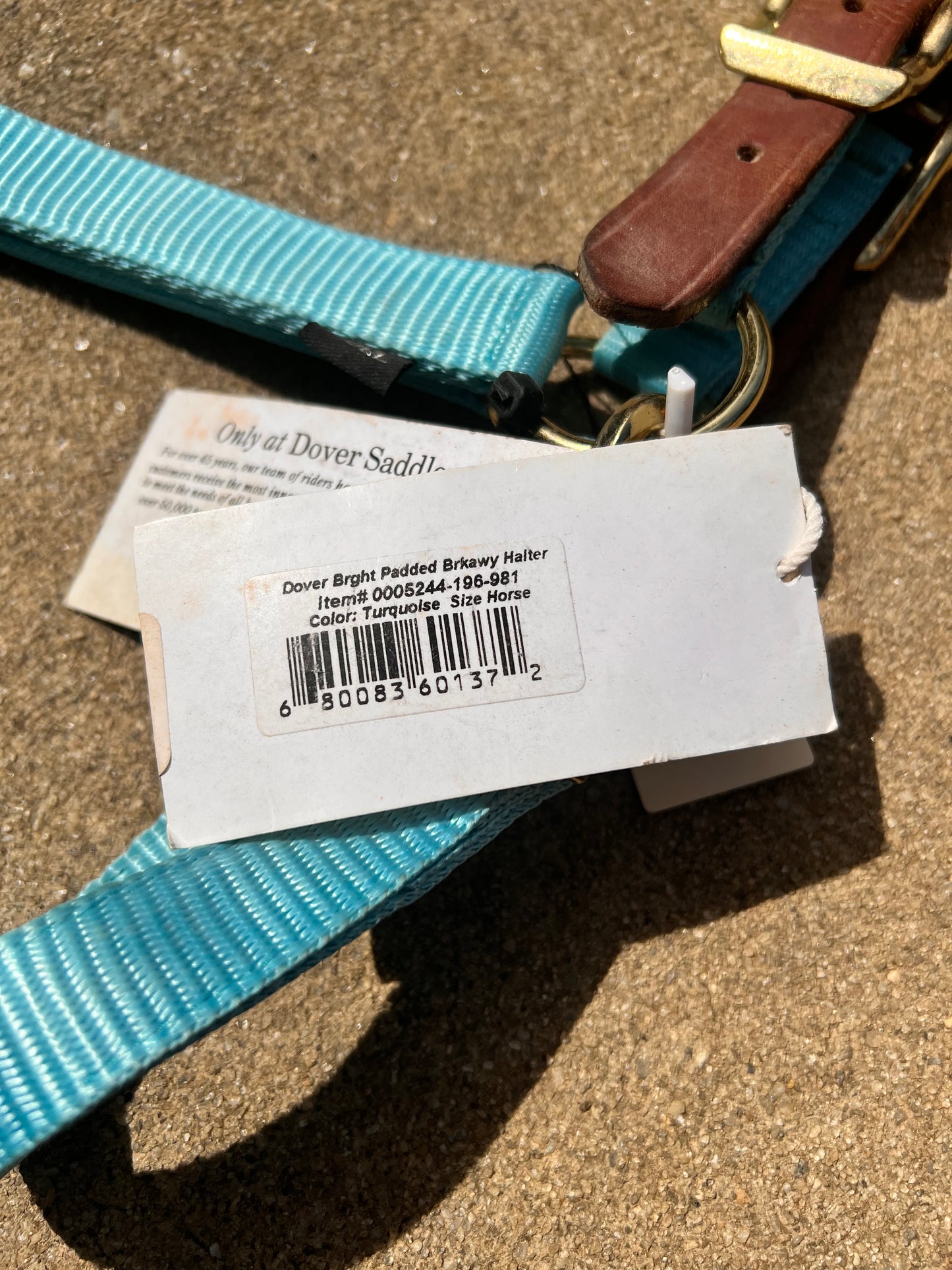 Turquoise Padded Dover Breakaway Halter - Full