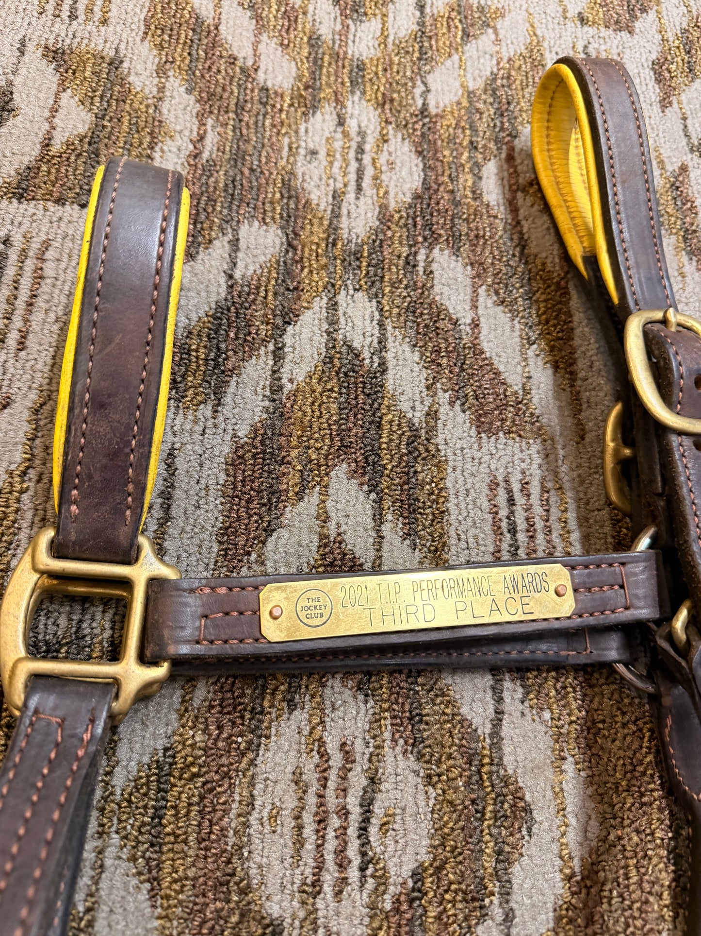 Central KY Maker Full Yellow Padded Leather Halter