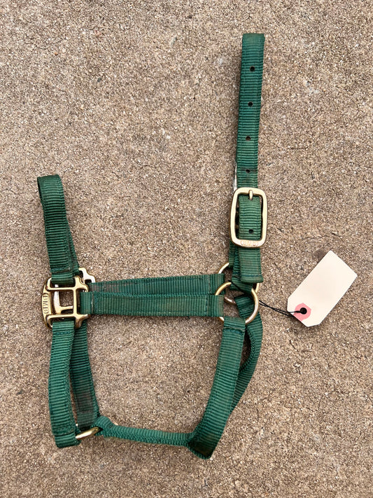 Green BMB Halter - Colt