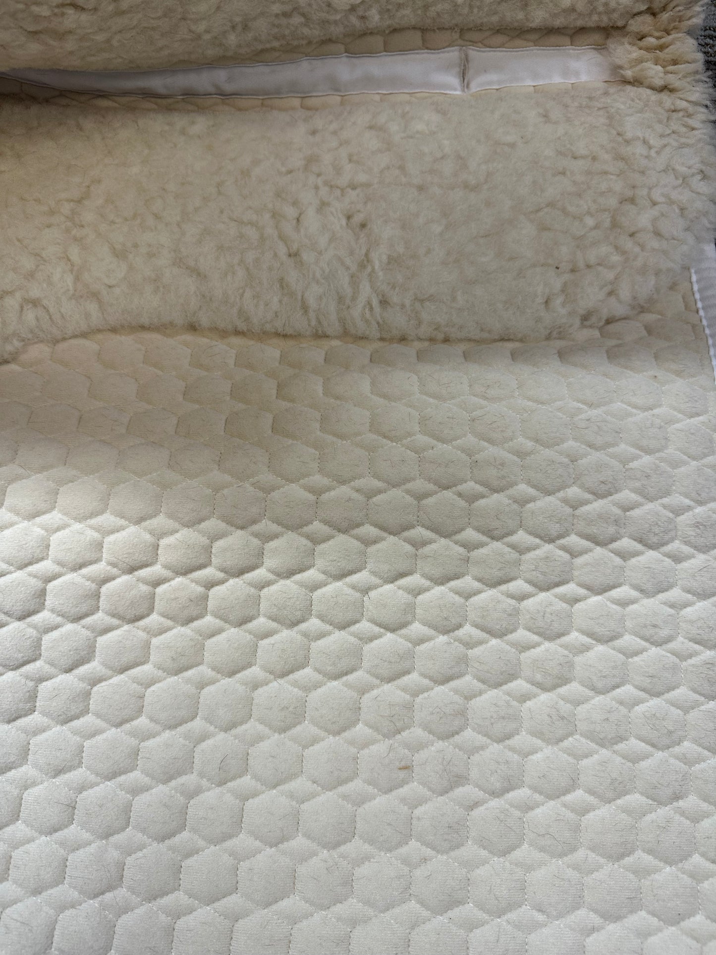 Mattes Gold Dressage Pad