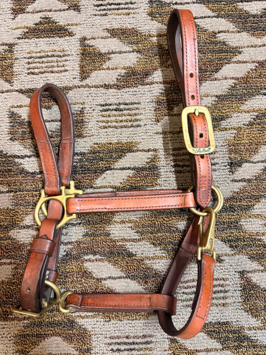 Leather Walsh Cob Halter