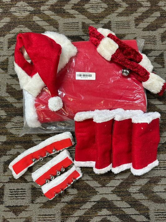 Christmas Costume Set