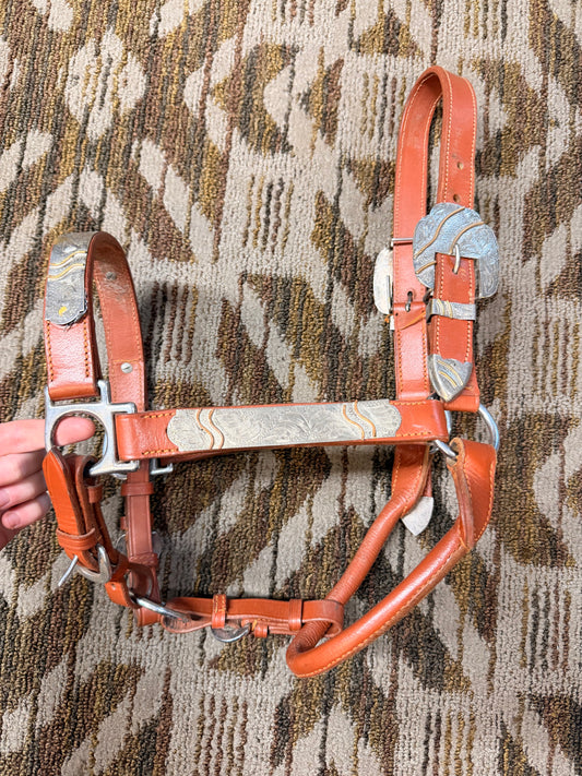 Chestnut Silver Show Halter