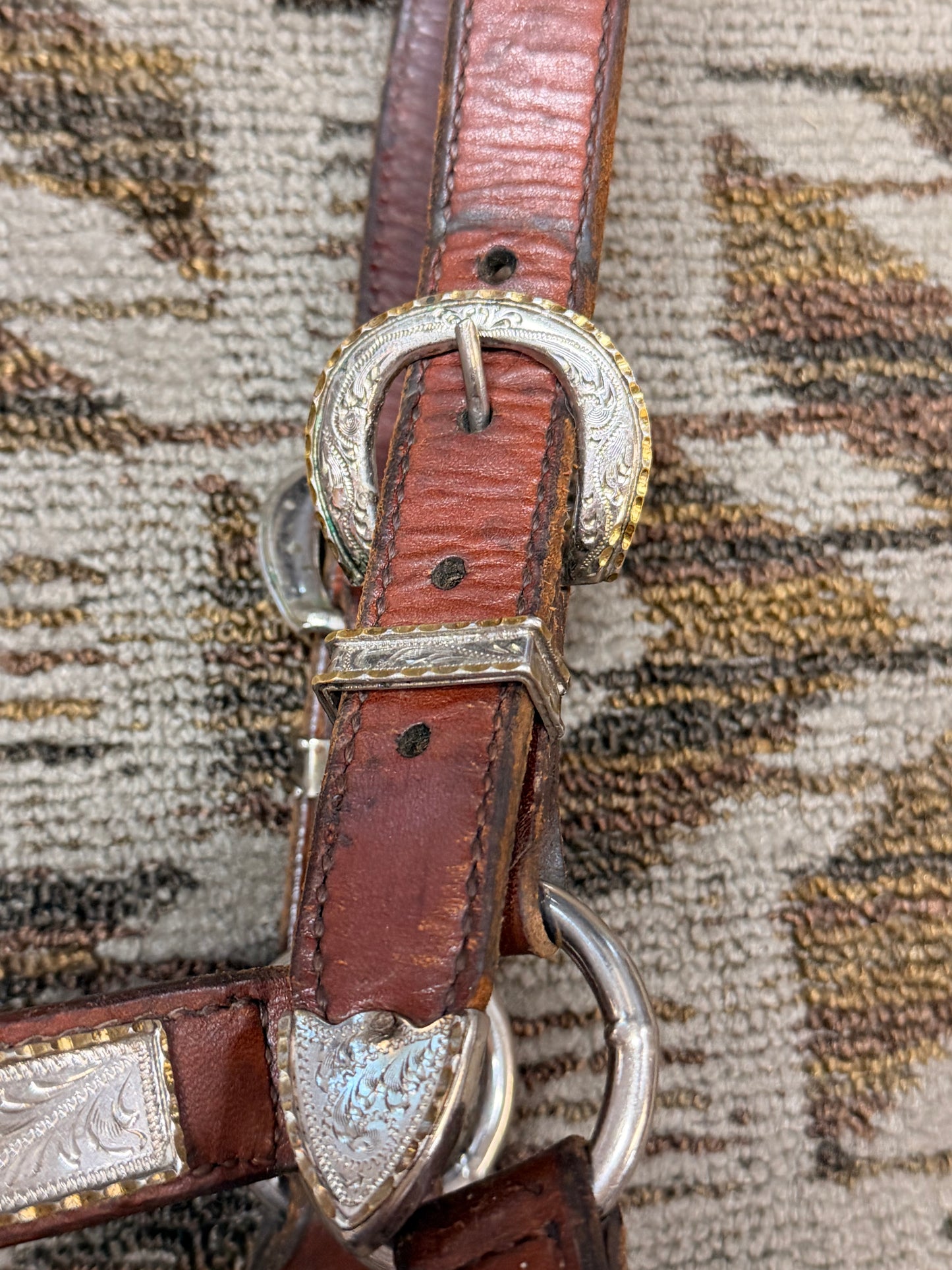 Circle Y Silver Show Halter