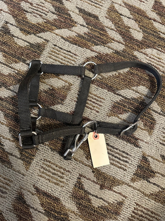 Black Mini Halter w/ Clip
