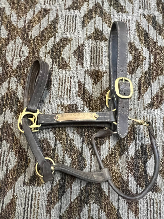 Leather Nameplate Halter w/ Clip