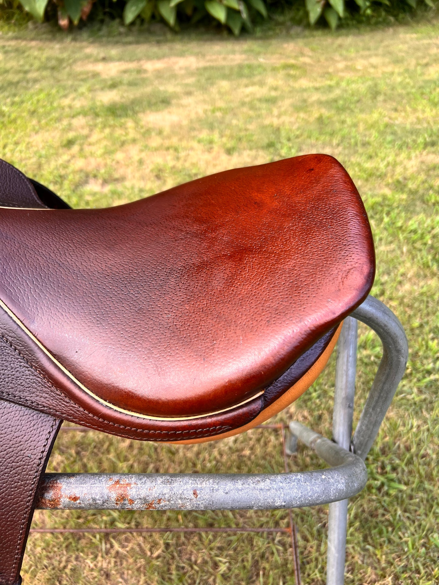 Courbette Derby Close Contact Saddle