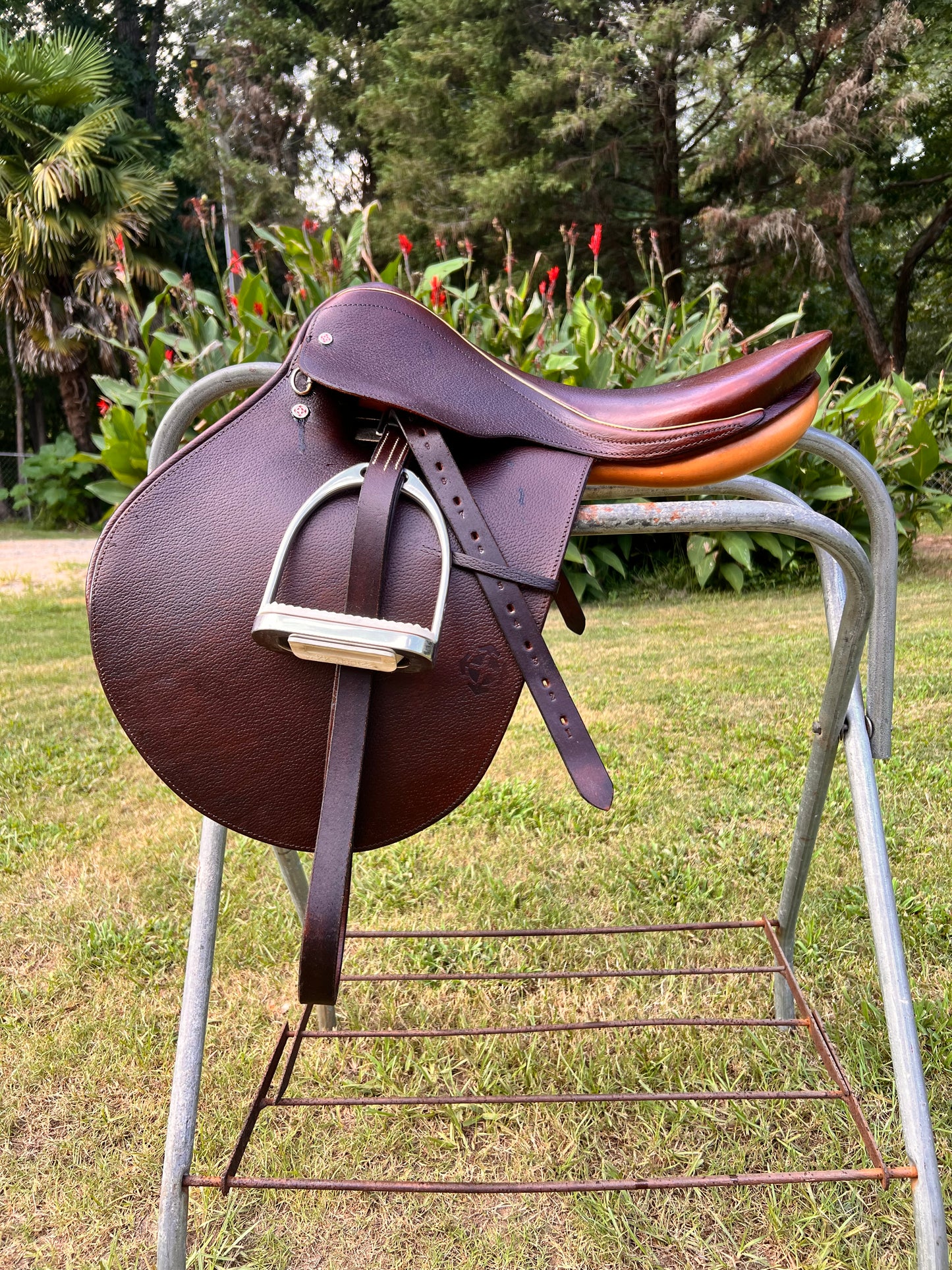 Courbette Derby Close Contact Saddle