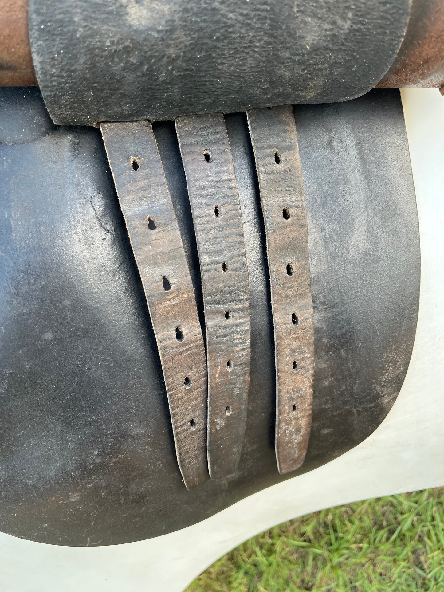Courbette Derby Close Contact Saddle