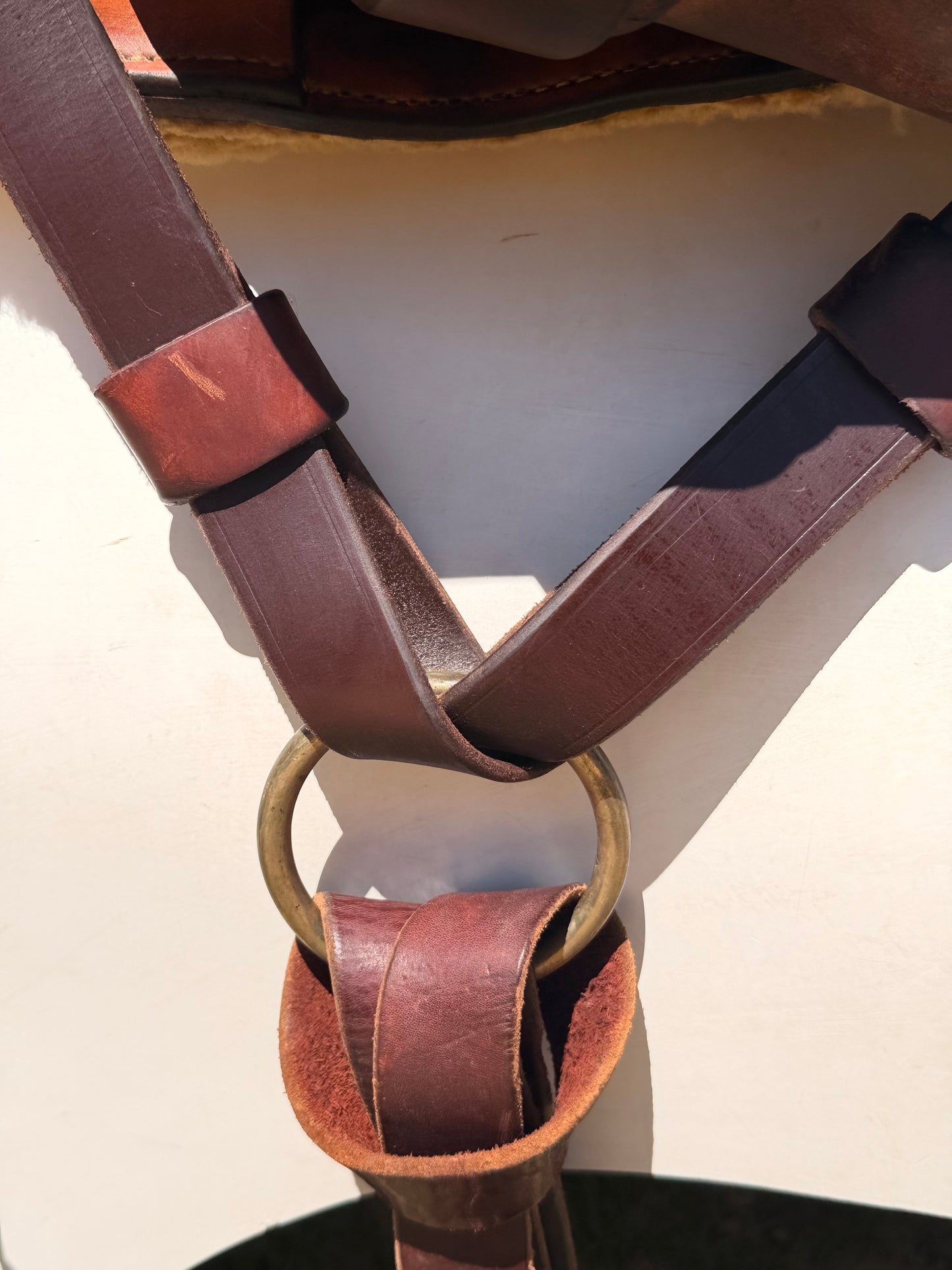 Fred Hook Trail Saddle