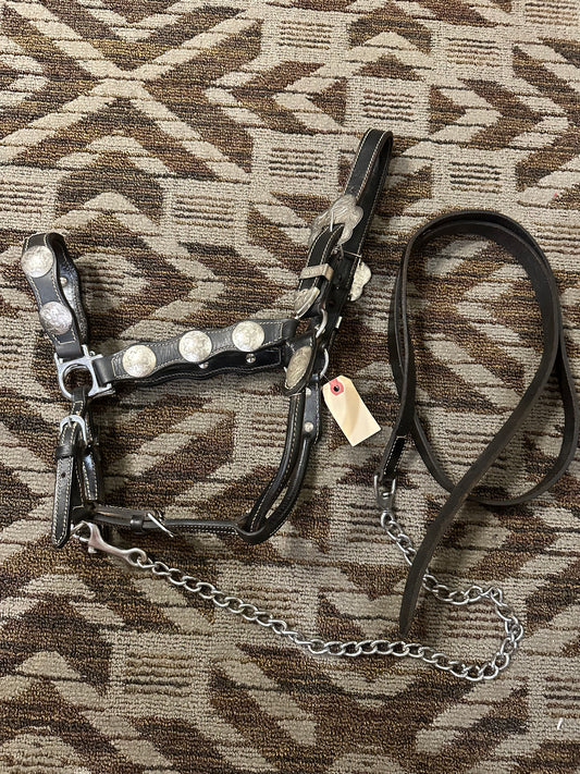 Black Silver Show Halter w/ Matching Lead
