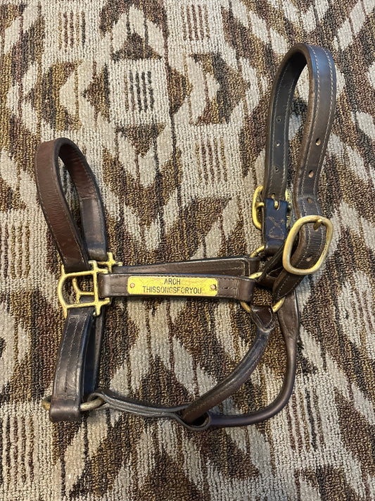 Leather Halter