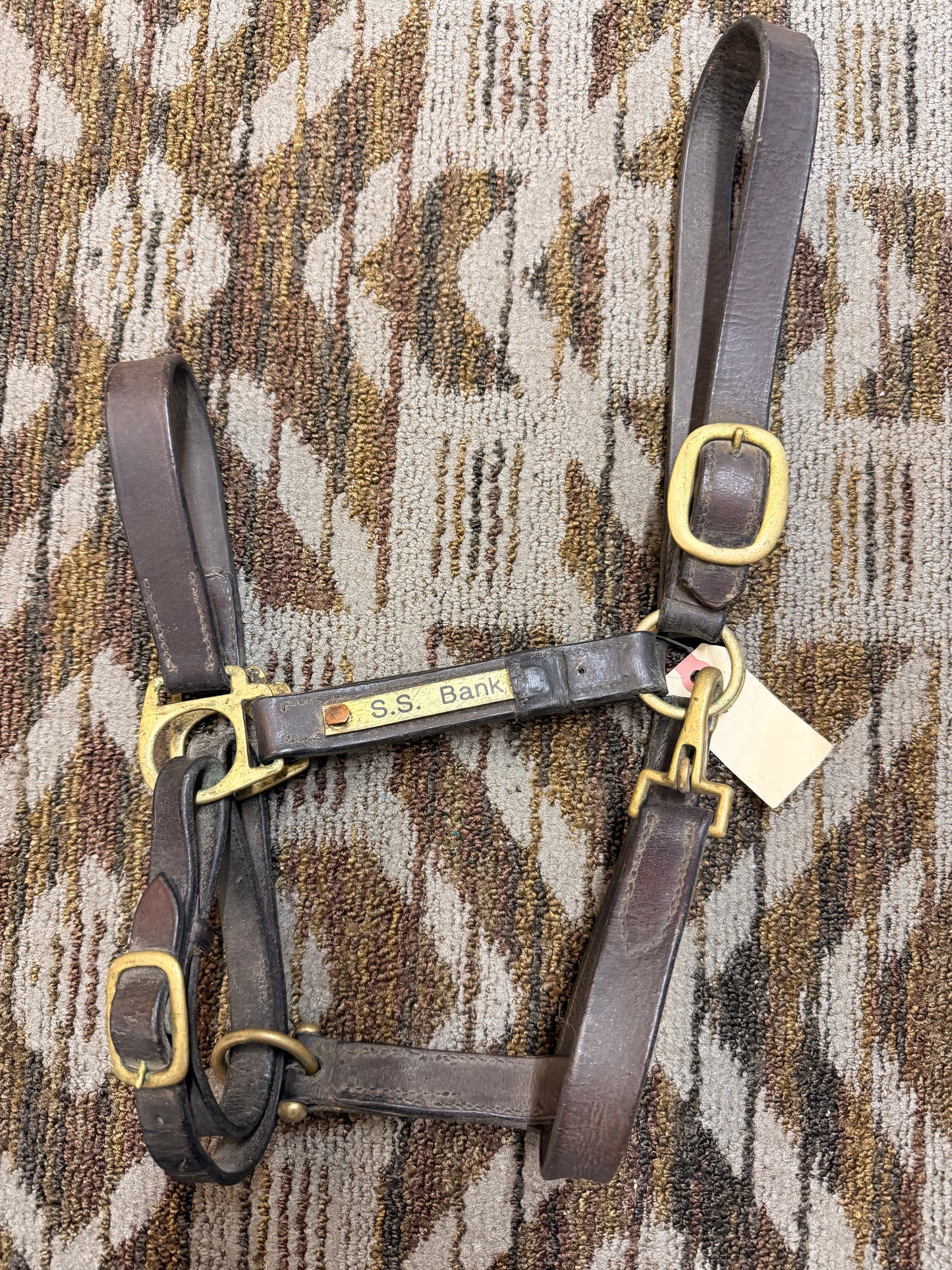 Cob Leather Halter w/ Nameplate