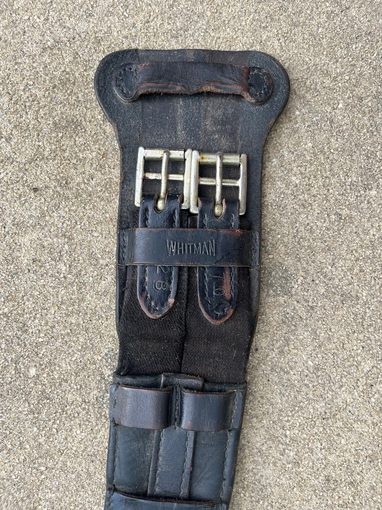 Whitman Dressage Girth - 28”