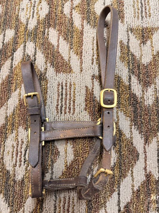 Adjustable Small Leather Halter