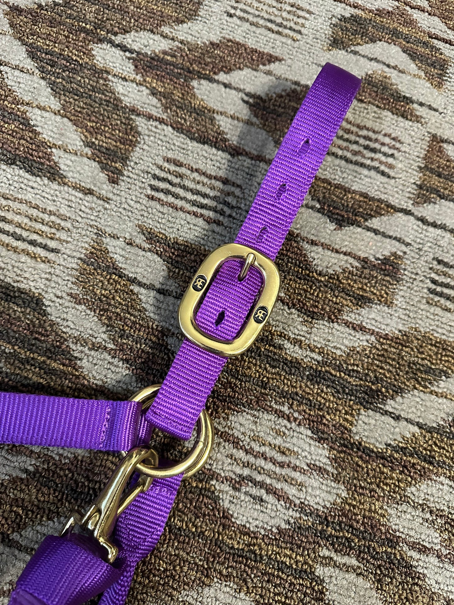 Reinsman Bronc Halter