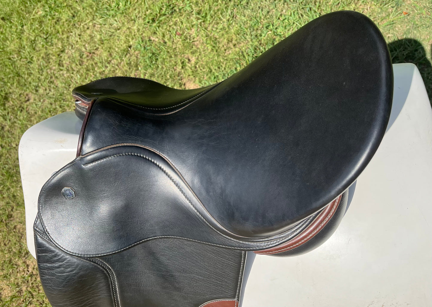 Pegasus Butterfly Bernice Dressage Saddle