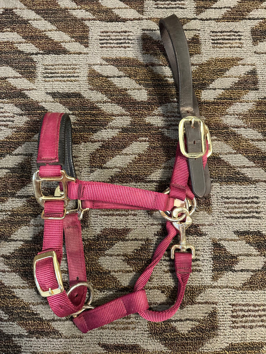 Padded Breakaway Halter