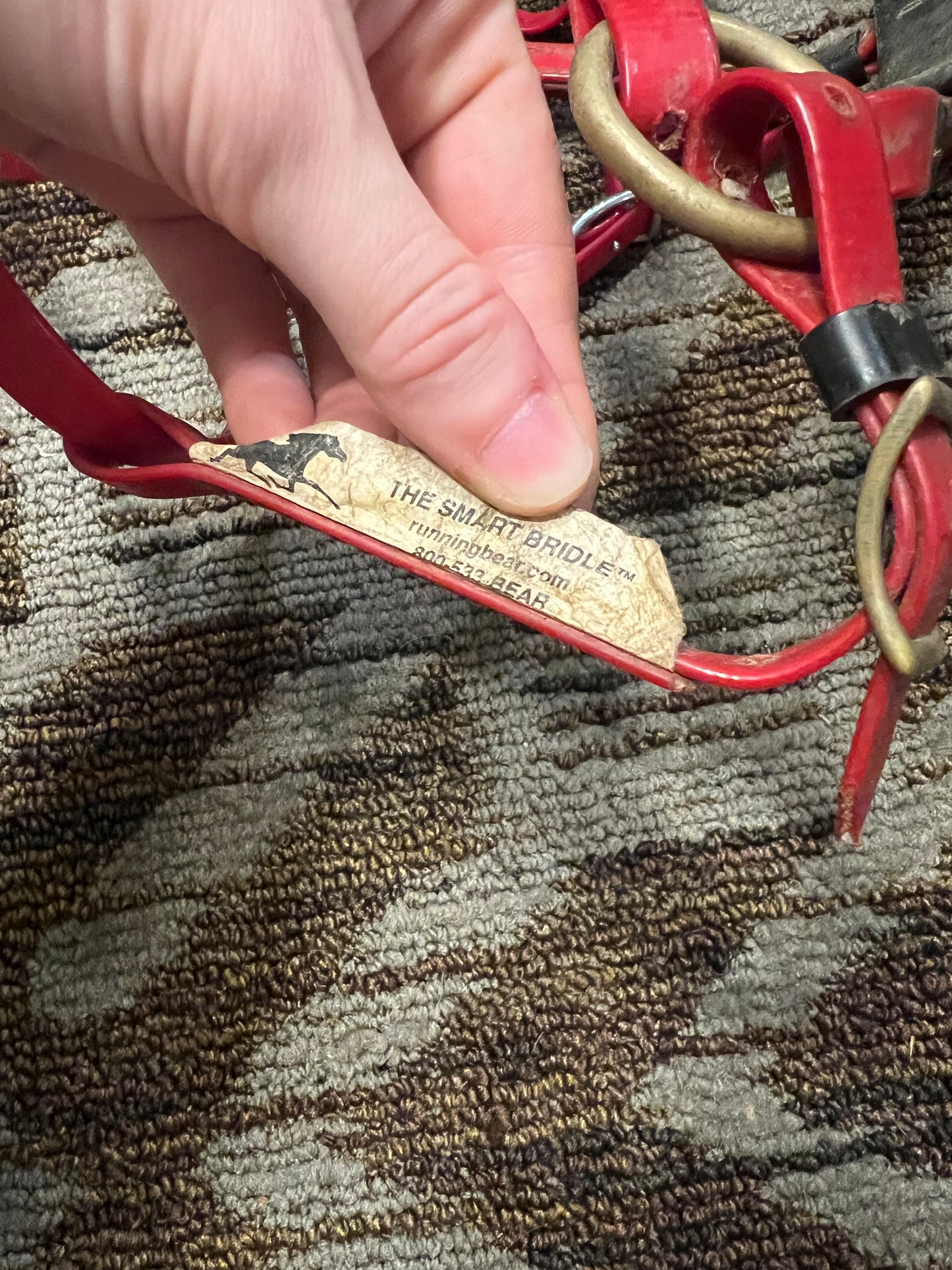 Red Biothane Halter Bridle “The Smart Bridle”