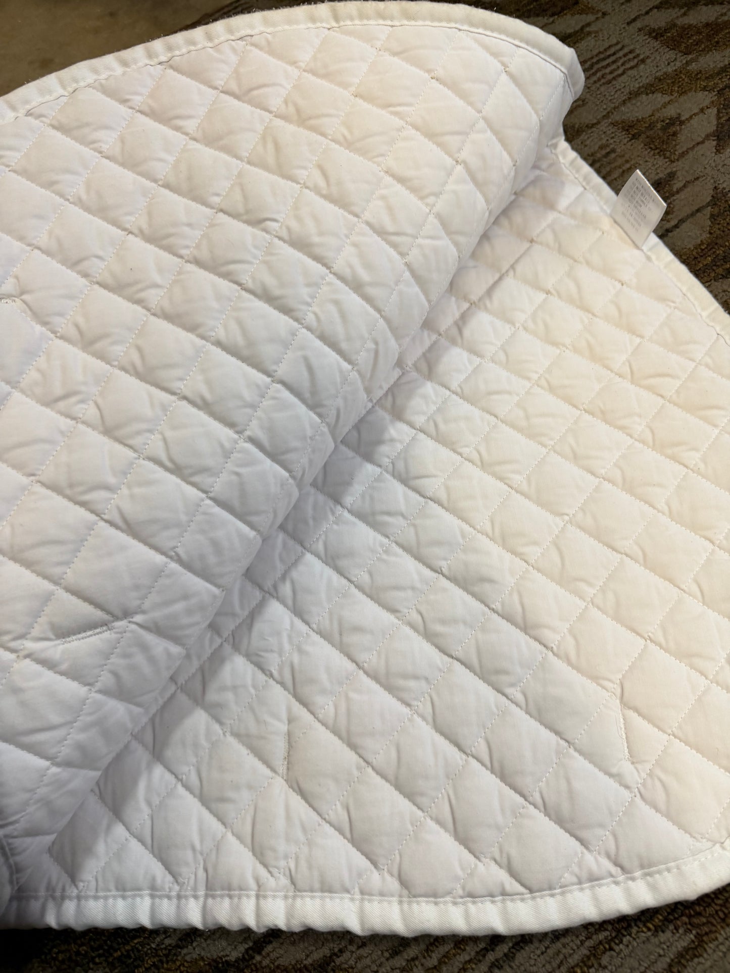 Equine Couture Halter AP Pad