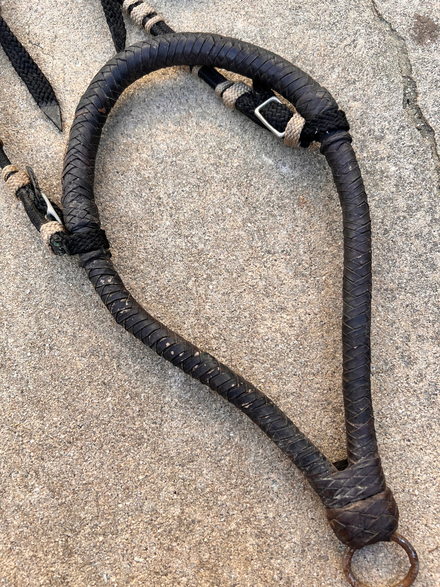 Loping Hackamore