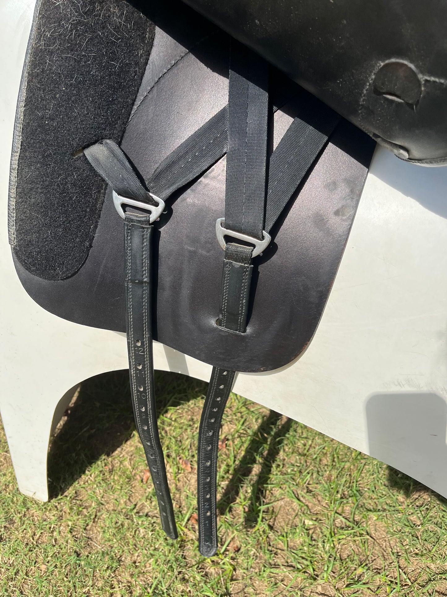 Pegasus Butterfly Bernice Dressage Saddle