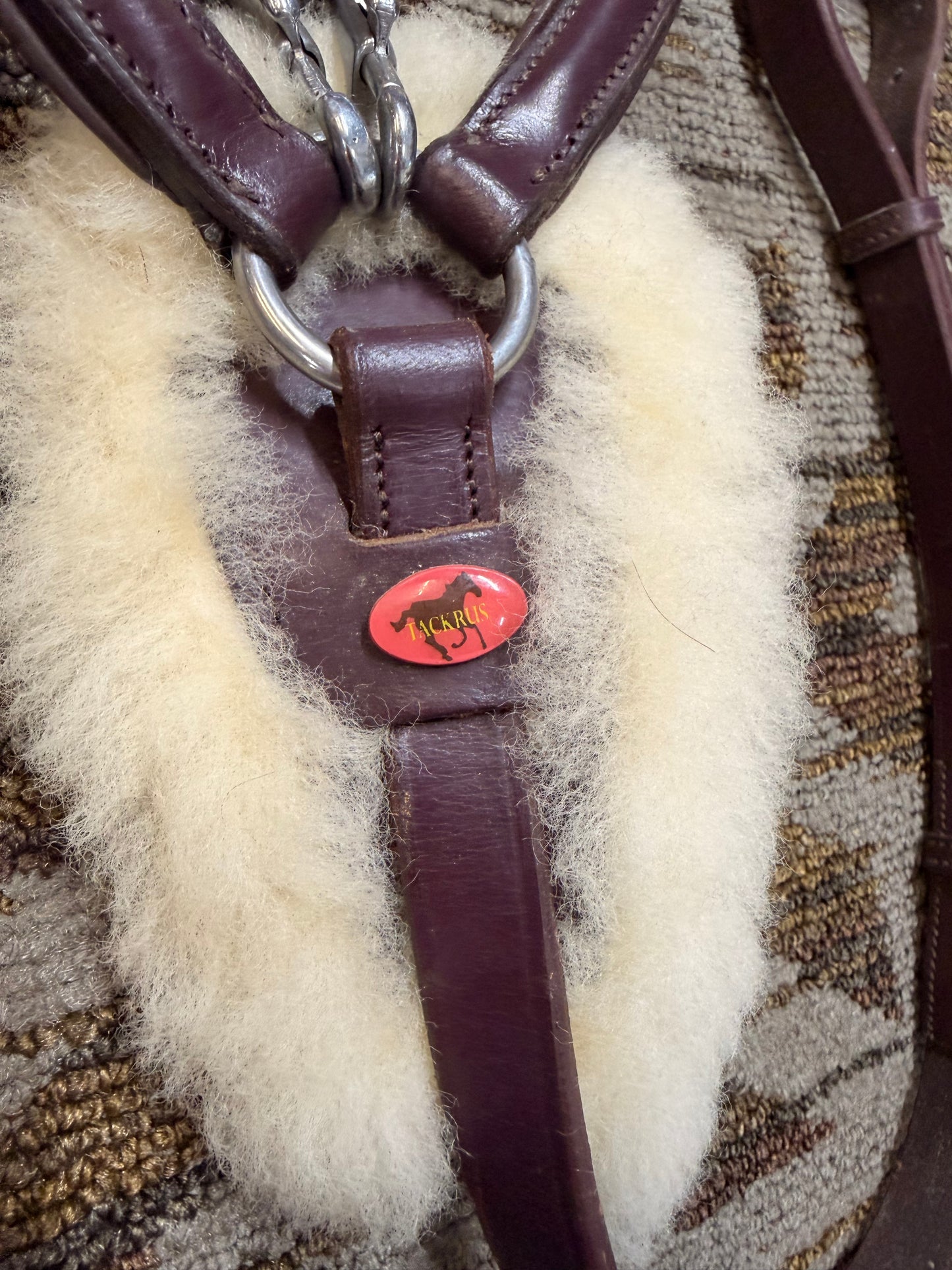 TACKRUS 5 Point Breastplate