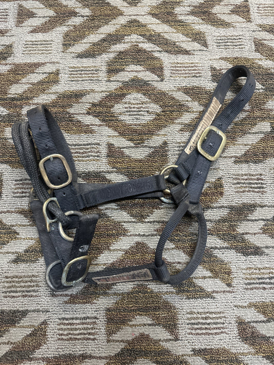 Monty Roberts Training Halter