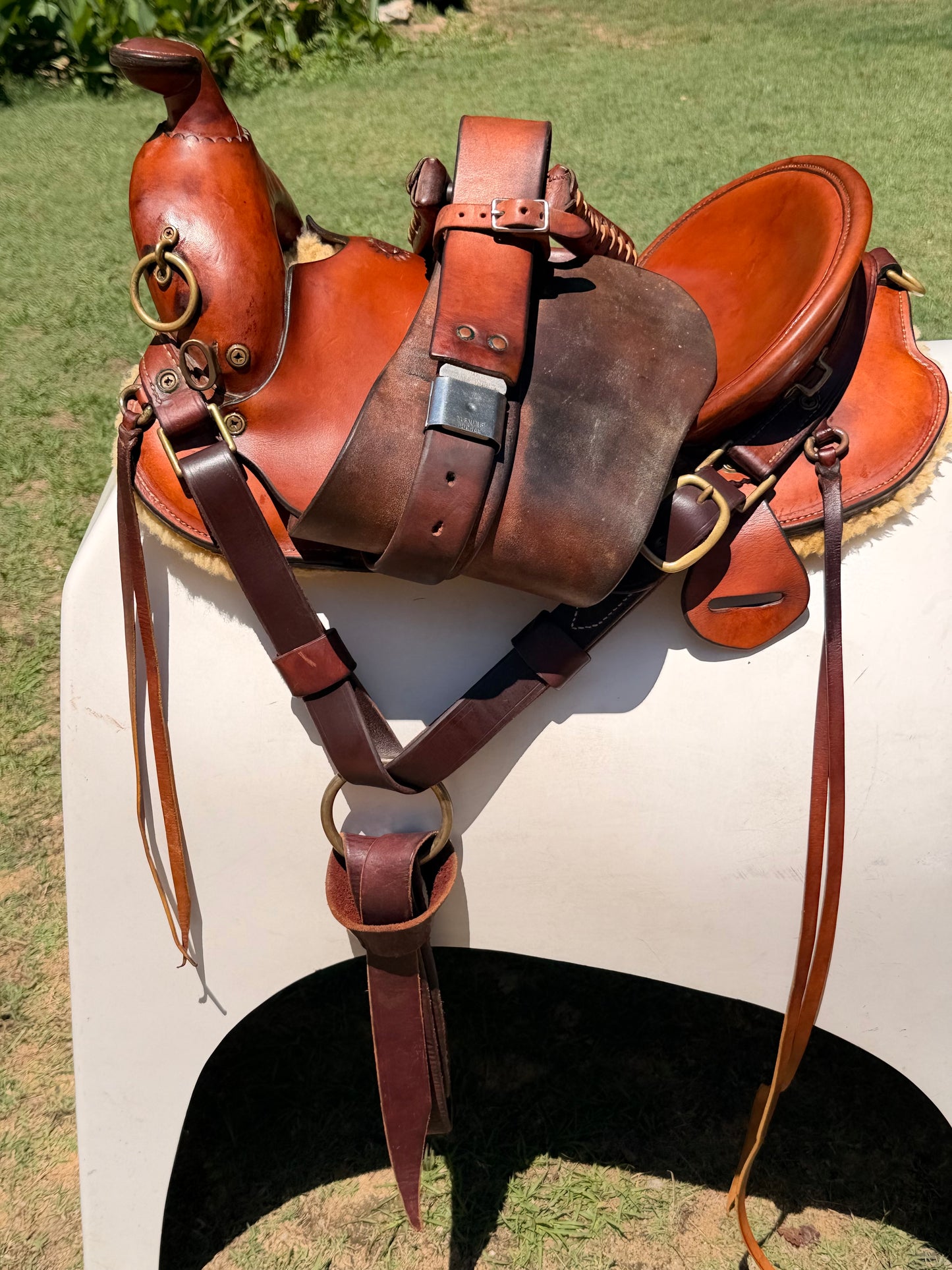 Fred Hook Trail Saddle