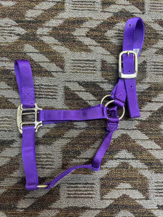 Small Horse Nylon Halter