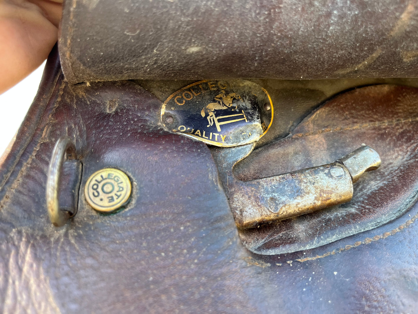 Collegiate Close Contact Saddle