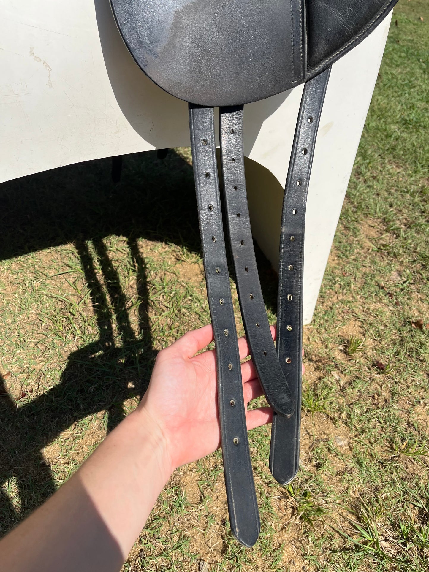 Albion Dressage Saddle
