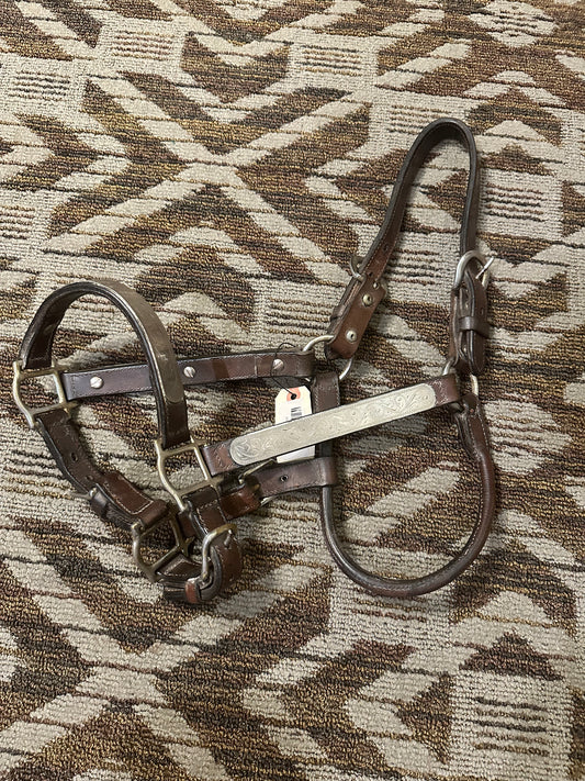 Leather Silver Show Halter
