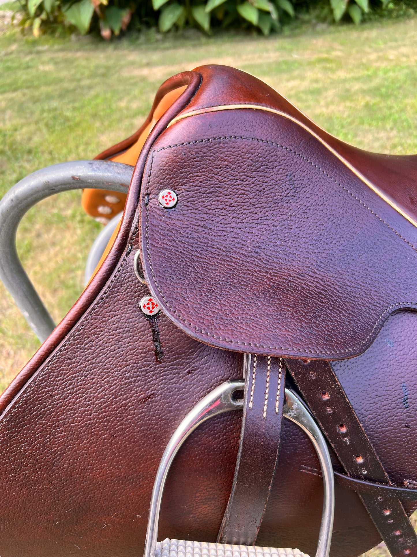 Courbette Derby Close Contact Saddle