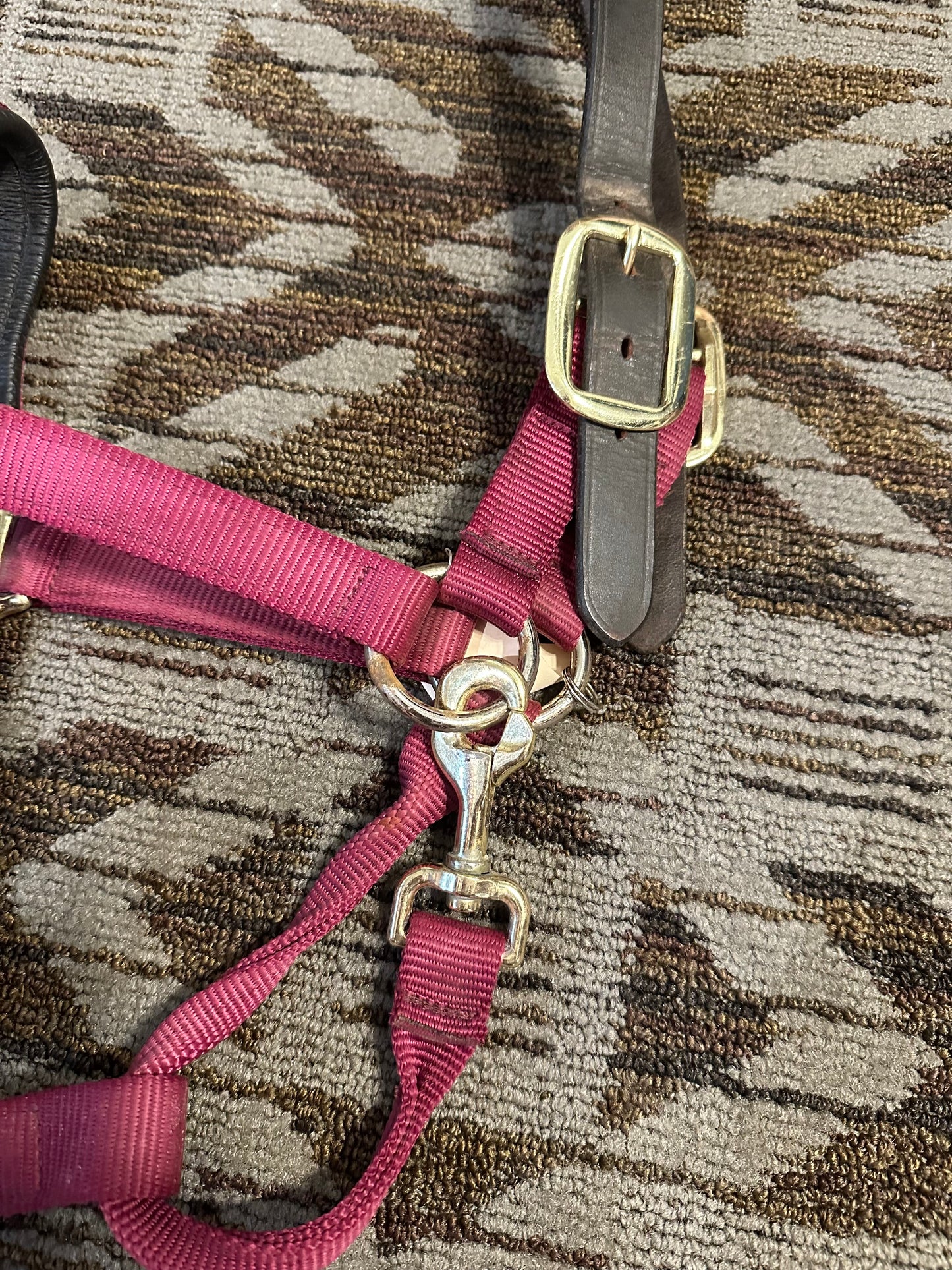 Padded Breakaway Halter