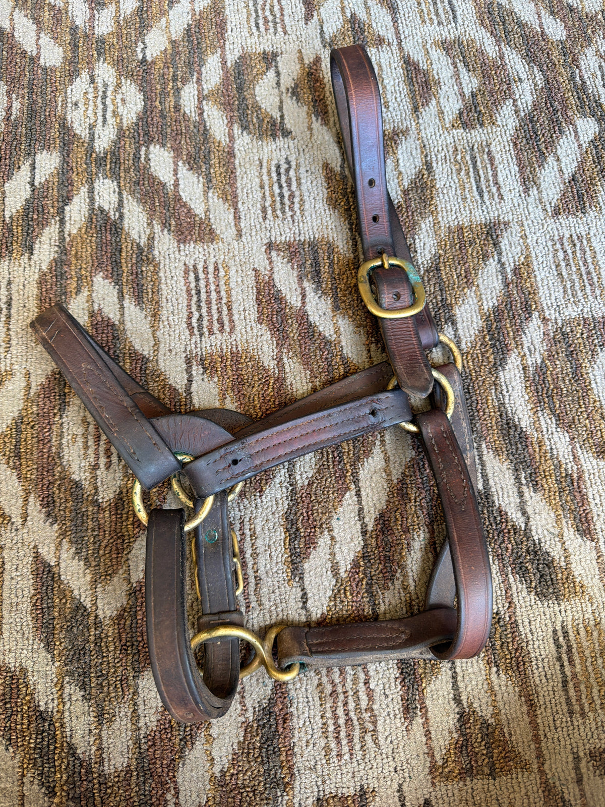 Heavy Duty Leather Halter