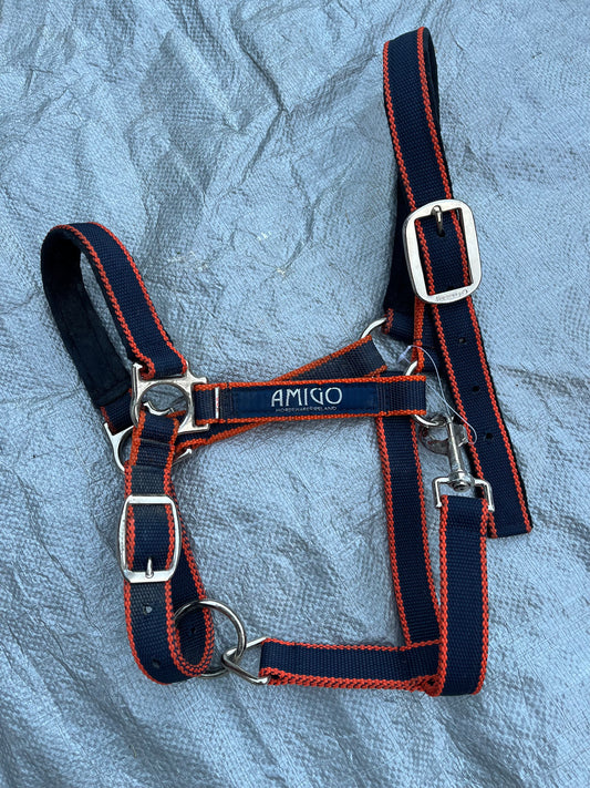 Amigo Blue/Orange Halter