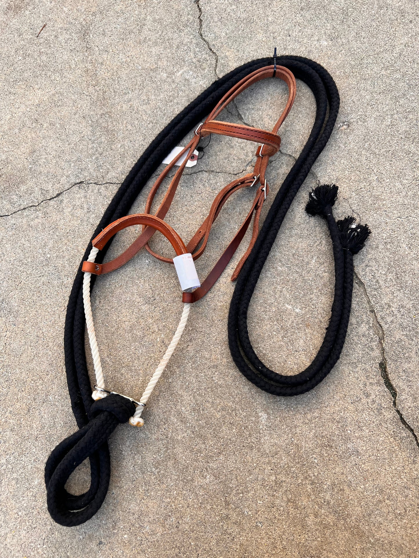 New Loping Hackamore w/ Reins