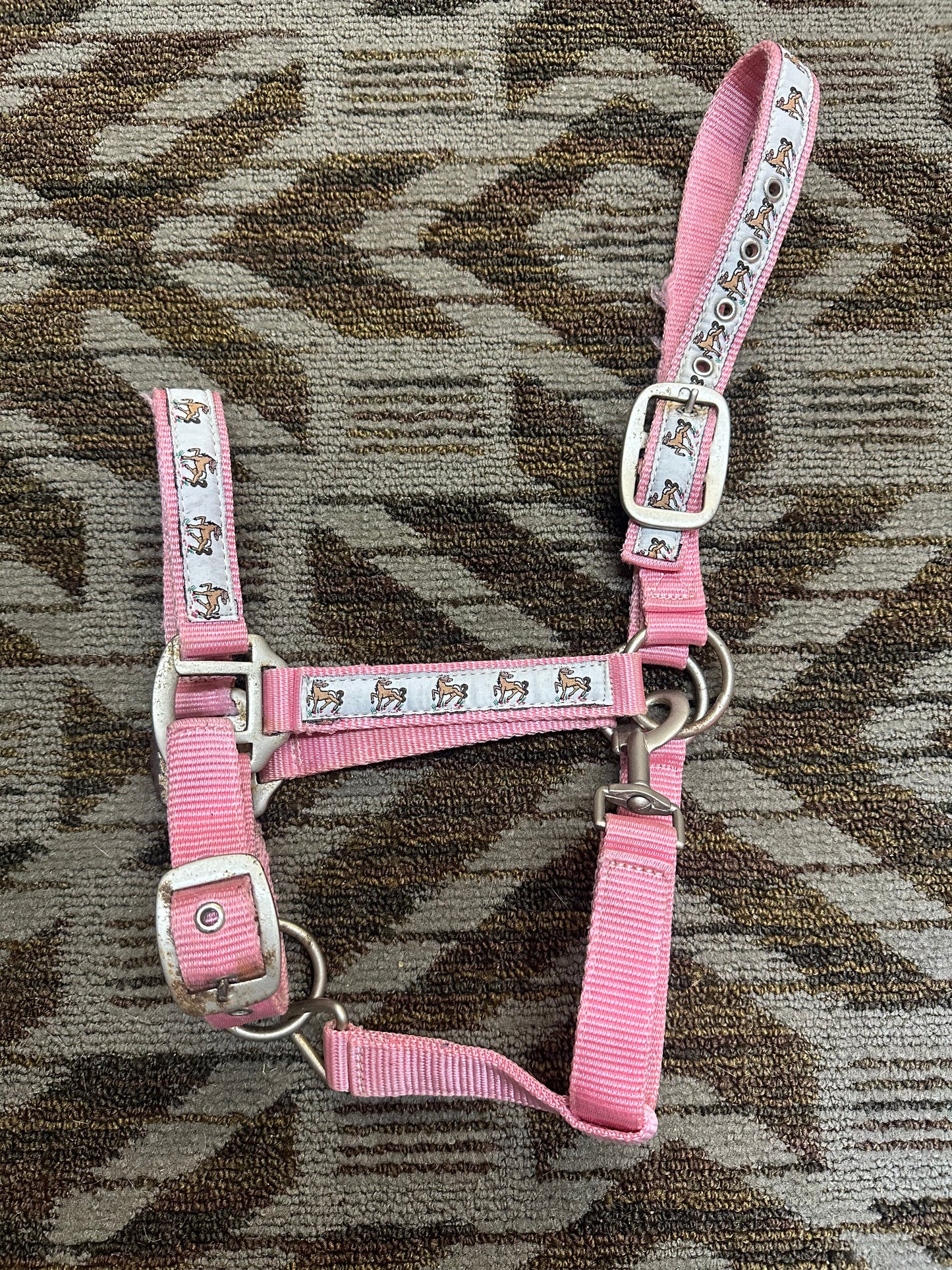 Horse Print Nylon Halter