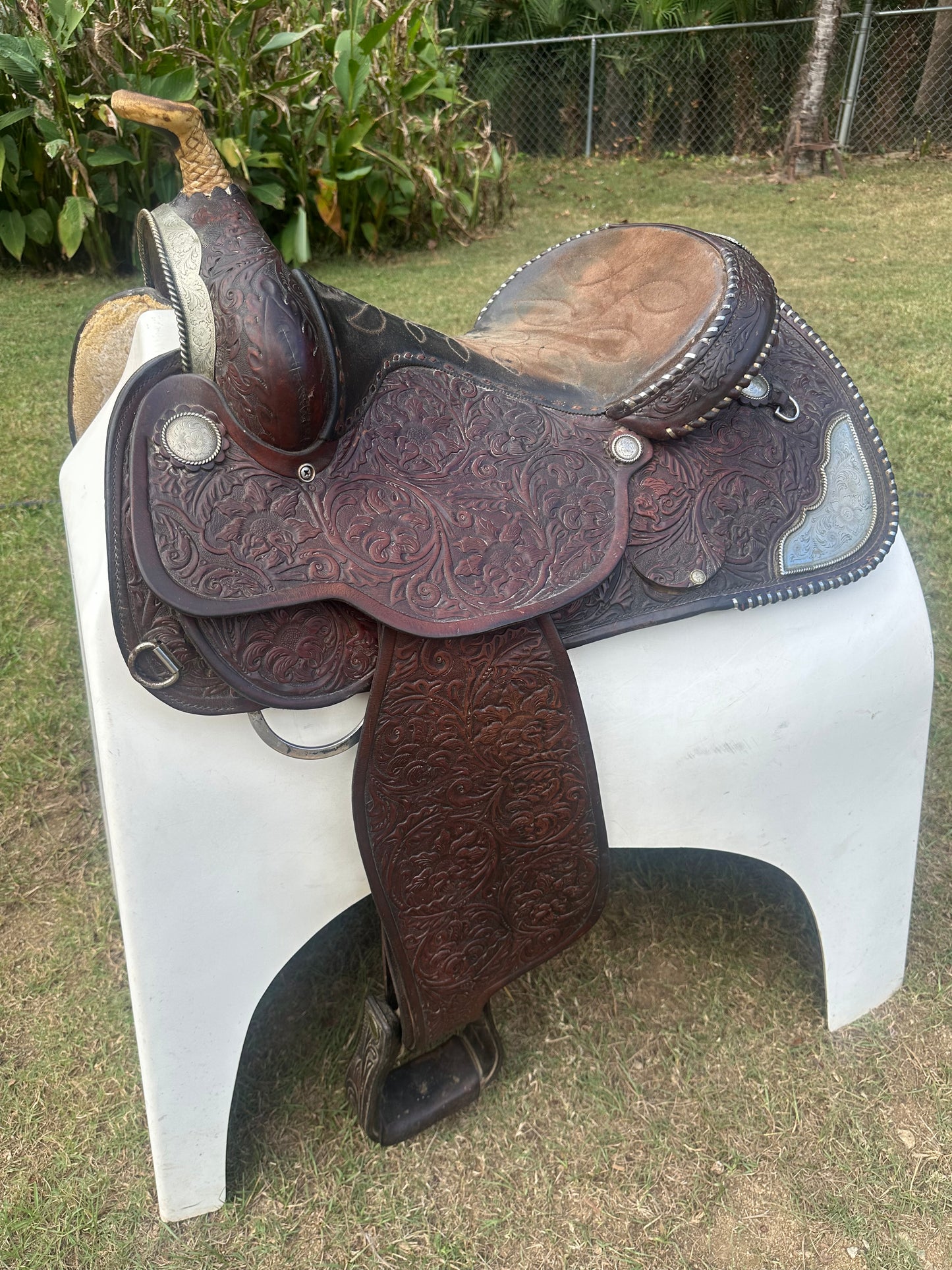 Circle Y Equitation Saddle